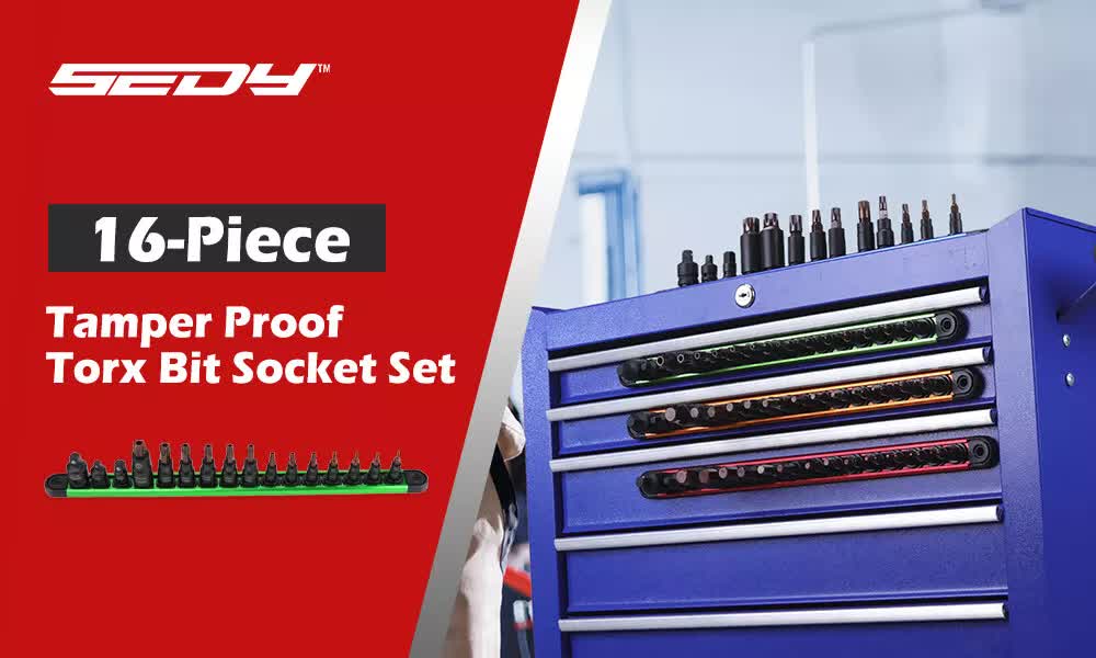 16-Piece Torx Star Bit Socket Set | Magnetic Socket Rail Organizer | T8-T60 Adapters
