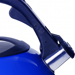 2.6L Stainless Steel Whistling Kettle | Durable & High Performance