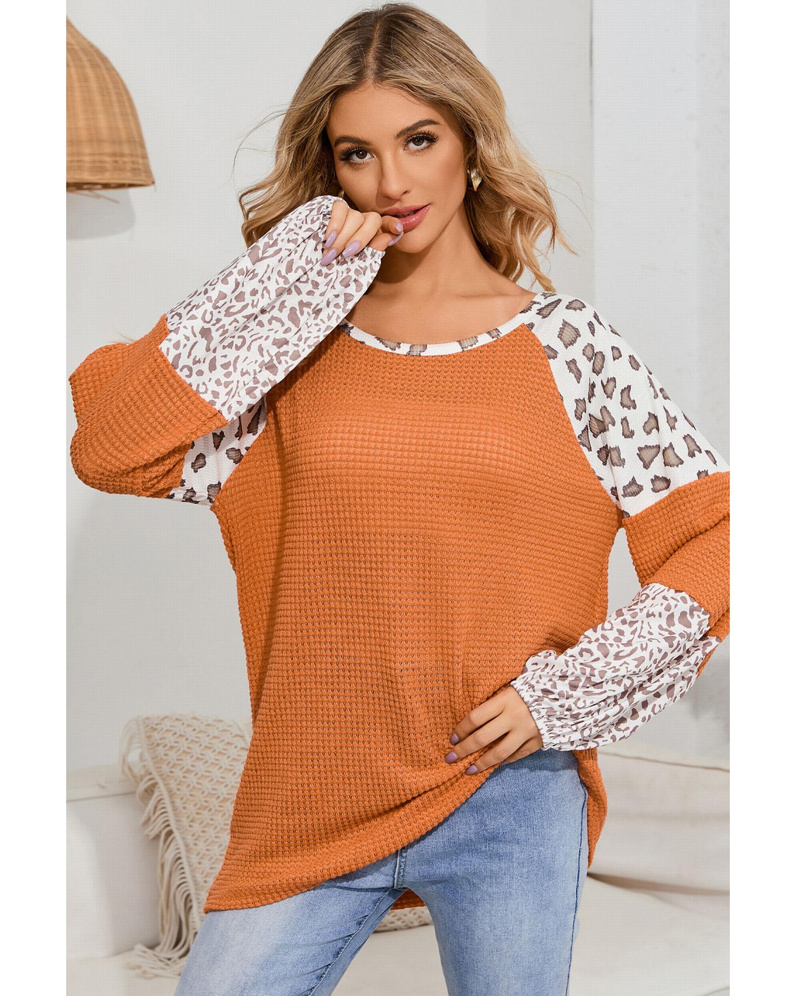 Azura Exchange Leopard Colorblock Top - XL
