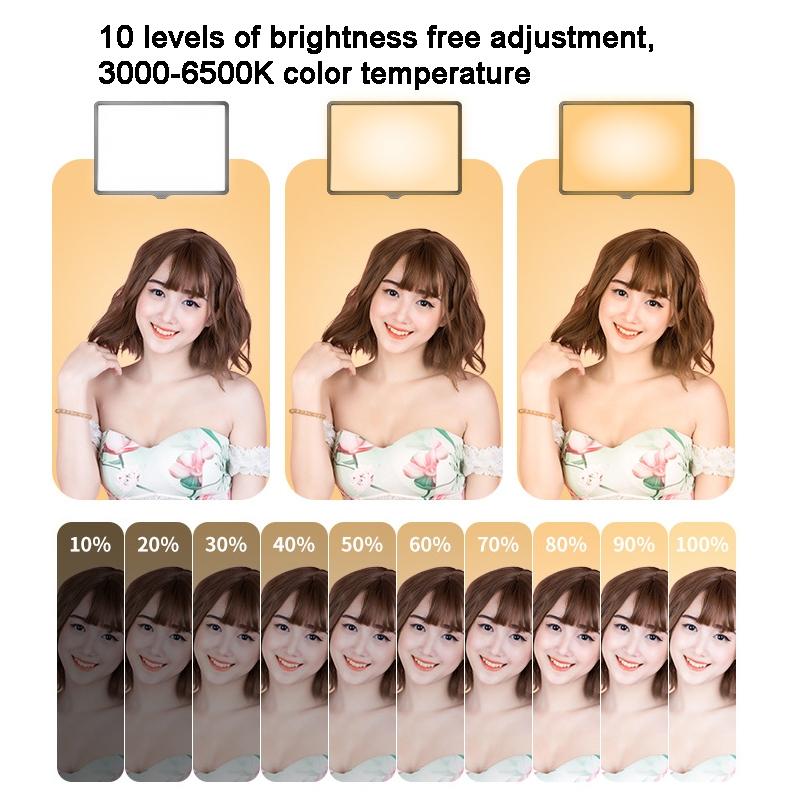 30cm Flat-Panel Live Fill Light with 3-Colour Temperature | Adjustable Bracket