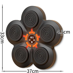 Bluetooth Music Boxing Machine with Wall Mount and Adult Gloves | With Adult Gloves