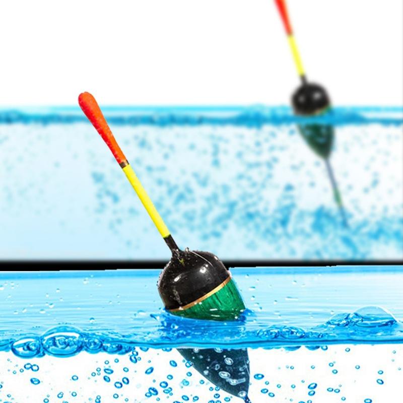 Adjustable Focus Fishing Binoculars | Red Polarised Lens