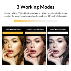 Portable Square Strip Live Video Conferencing Fill Light | APL - FL06