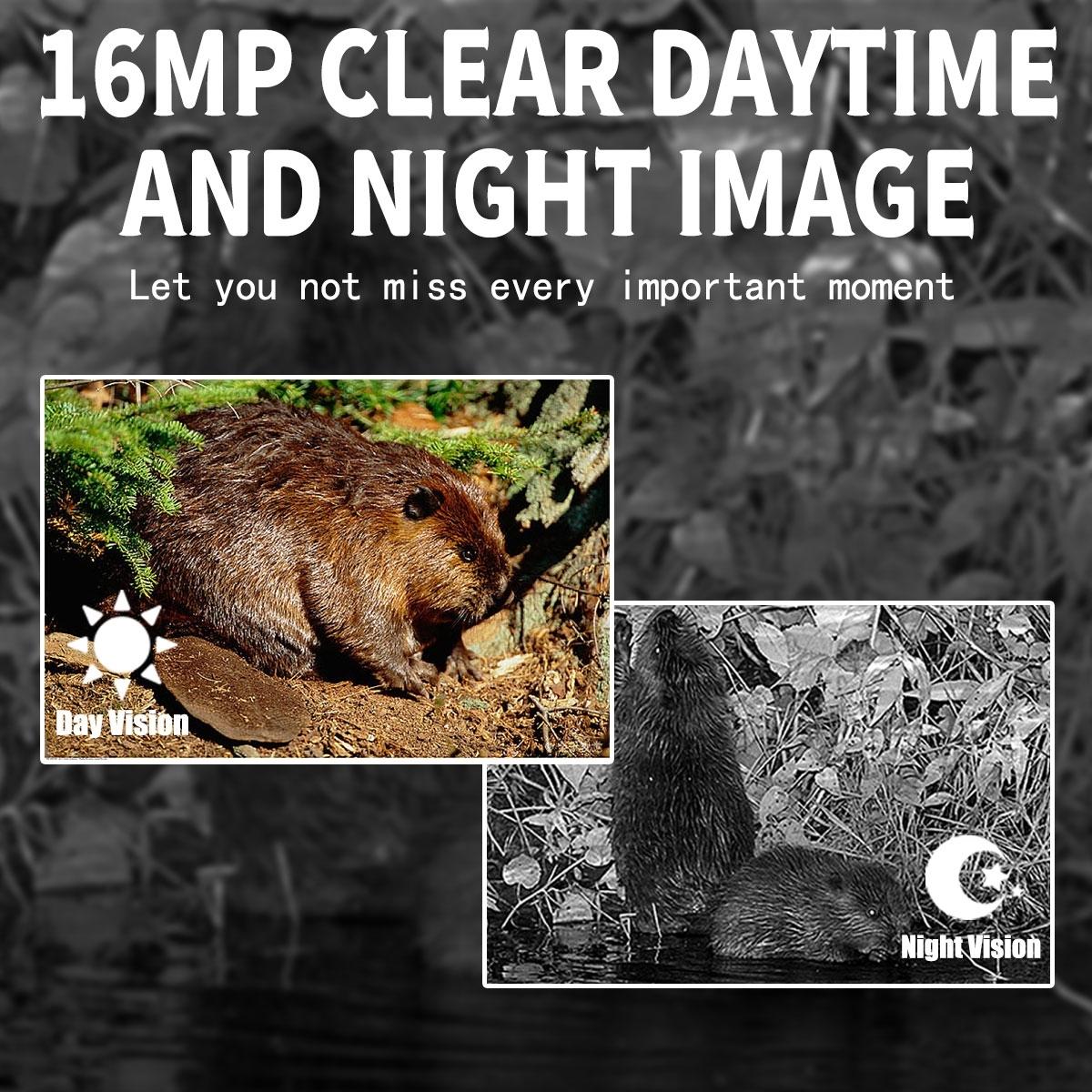 12MP Outdoor Night Vision Hunting Camera | Motion Activation