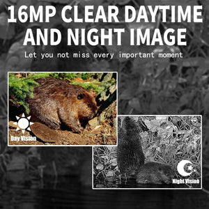 12MP Outdoor Night Vision Hunting Camera | Motion Activation