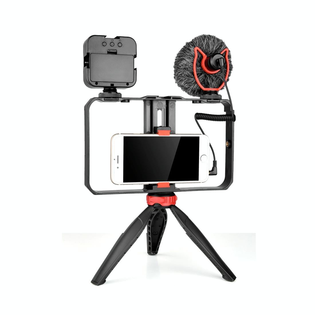 Vlogging Video Rig with LED Light, Mic & Tripod