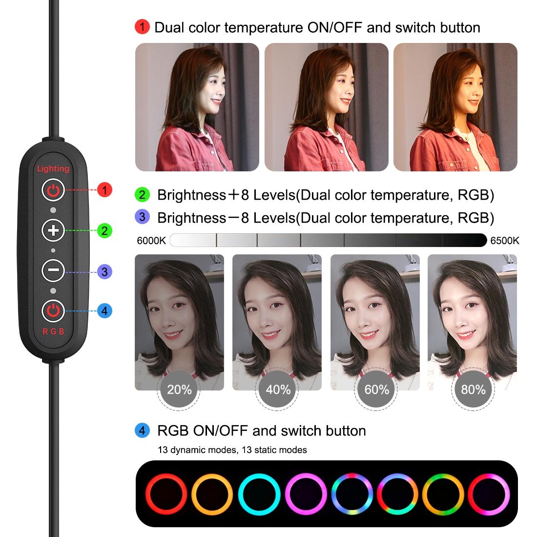 10.2" Curved LED Ring Light with Dual - Colour Temperature | Remote & Tripod