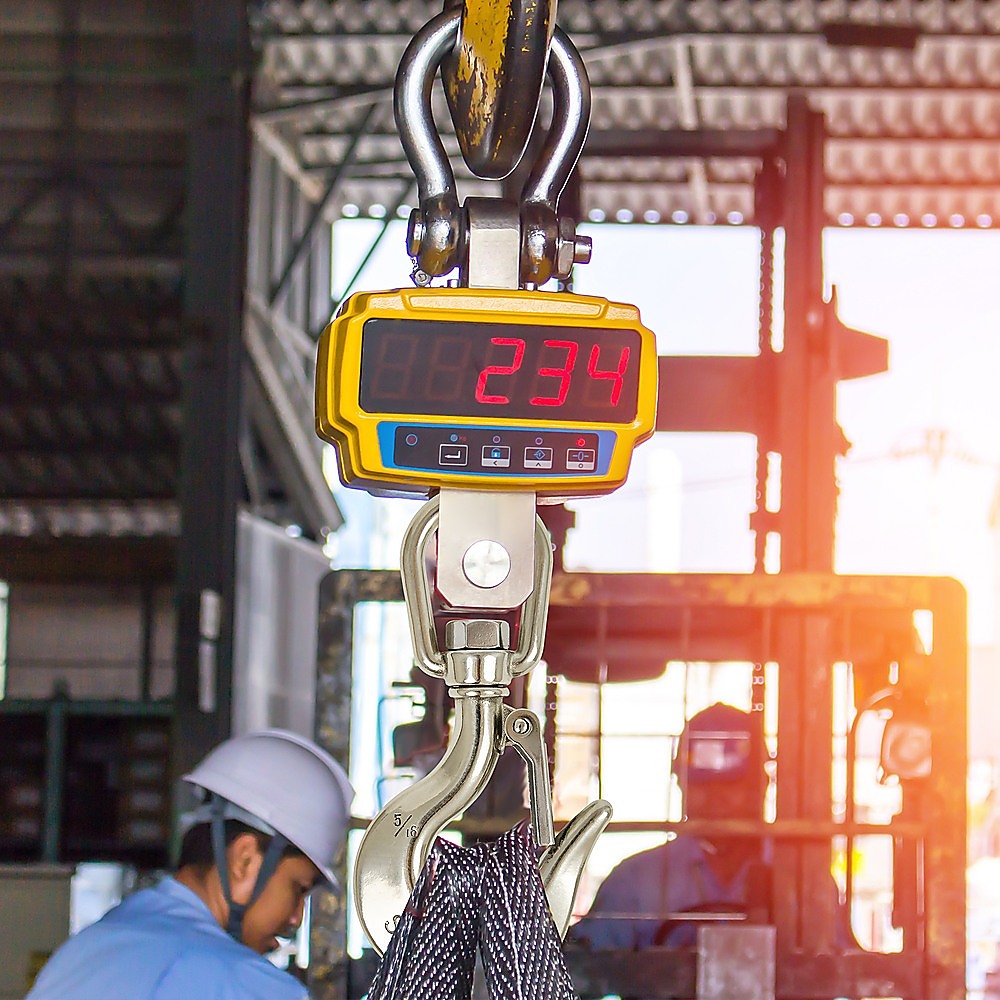 Stainless Steel Swivel Clevis Chain Hook | 304 Grade | 650KG Capacity | Safety Lock