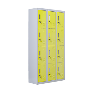 12-Door Locker for Office | Gym | Shed | School | Home Storage | Standard Lock with 2 Keys