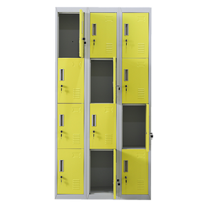 12-Door Locker for Office | Gym | Shed | School | Home Storage | Standard Lock with 2 Keys
