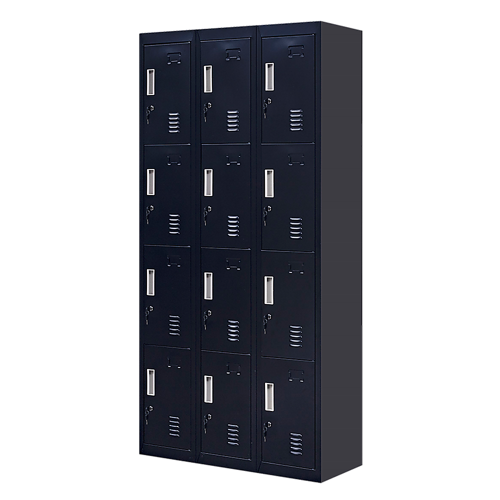 12-Door Locker for Office | Gym | Shed | School | Home Storage | Standard Lock with Keys