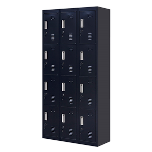 12-Door Locker for Office | Gym | Shed | School | Home Storage | Standard Lock with Keys