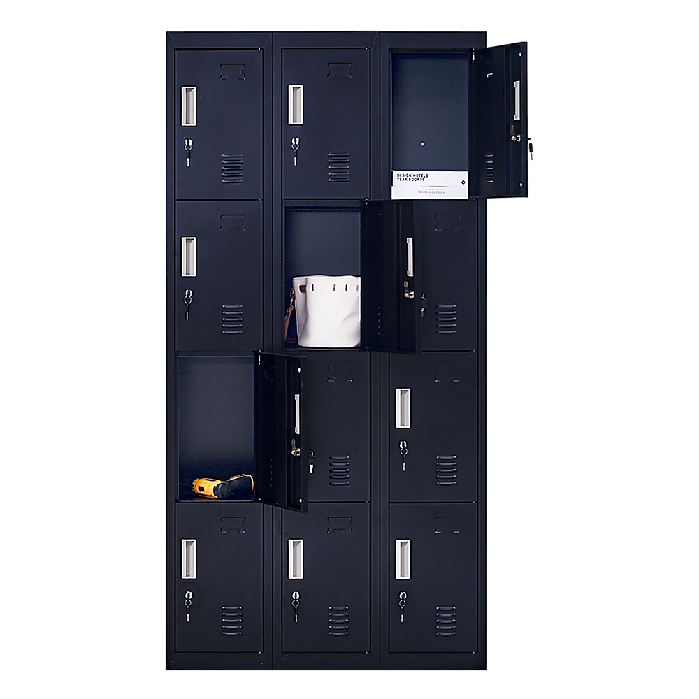 12-Door Locker for Office | Gym | Shed | School | Home Storage | Standard Lock with Keys