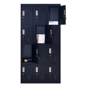 12-Door Locker for Office | Gym | Shed | School | Home Storage | Standard Lock with Keys