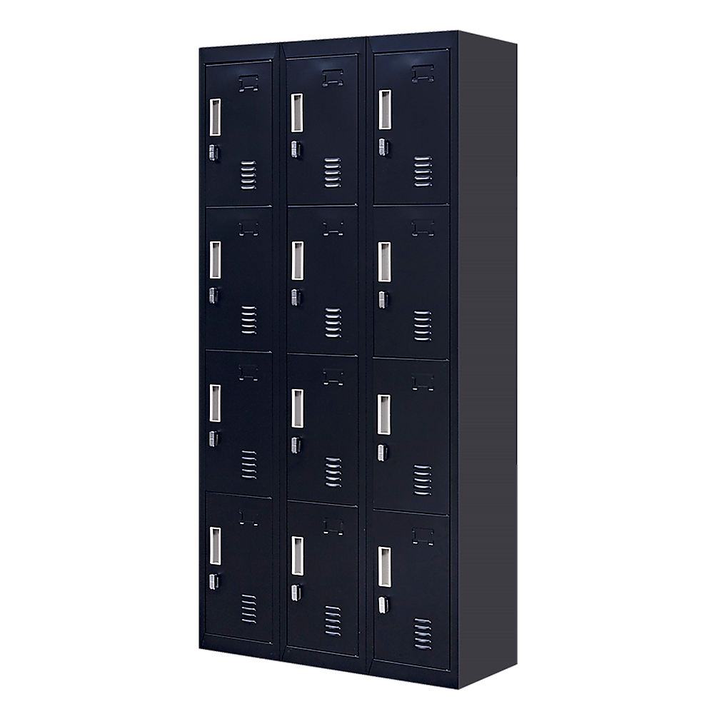12-Door Locker for Office, Gym, Shed, School, Home Storage | Padlock-Operated