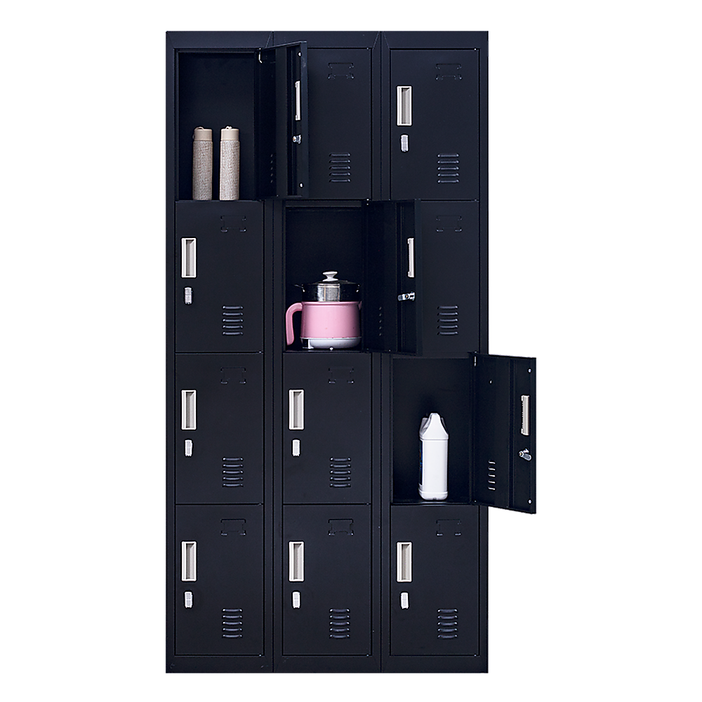 12-Door Locker for Office, Gym, Shed, School, Home Storage | Padlock-Operated
