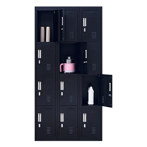 12-Door Locker for Office, Gym, Shed, School, Home Storage | Padlock-Operated
