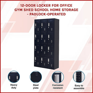 12-Door Locker for Office, Gym, Shed, School, Home Storage | Padlock-Operated