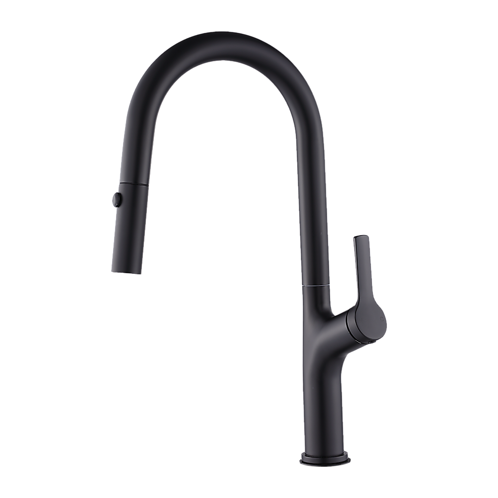 Kitchen, Laundry, Bathroom Basin Sink Pull Out Mixer Tap Faucet | Black