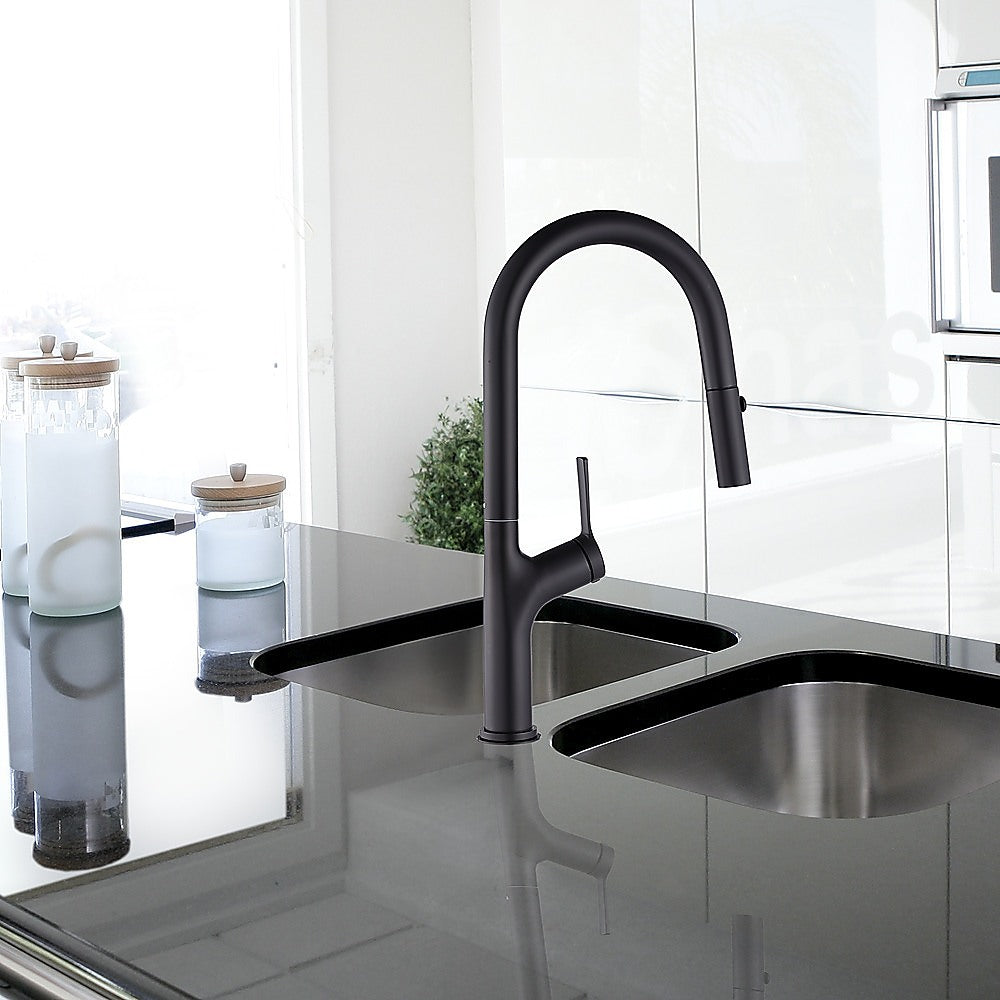 Kitchen, Laundry, Bathroom Basin Sink Pull Out Mixer Tap Faucet | Black