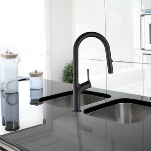 Kitchen, Laundry, Bathroom Basin Sink Pull Out Mixer Tap Faucet | Black