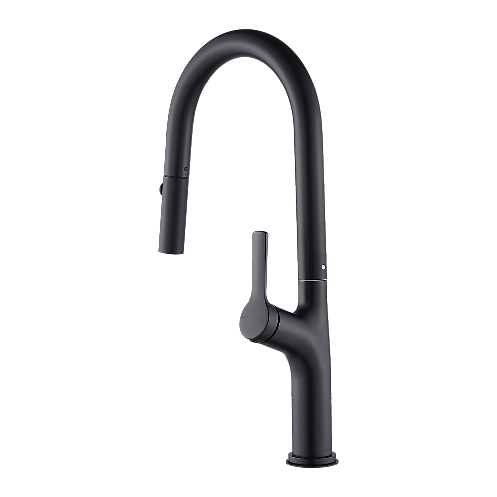 Kitchen, Laundry, Bathroom Basin Sink Pull Out Mixer Tap Faucet | Black
