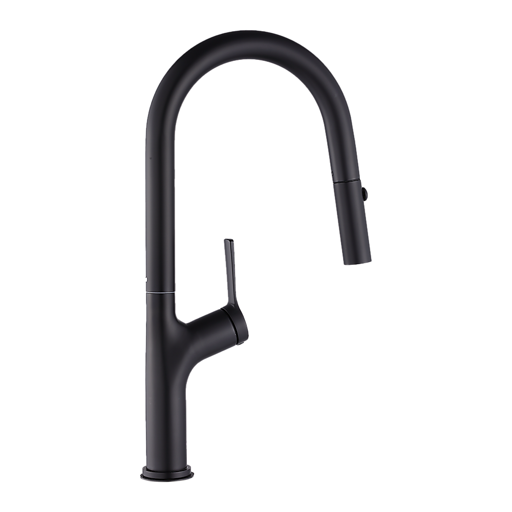Kitchen, Laundry, Bathroom Basin Sink Pull Out Mixer Tap Faucet | Black