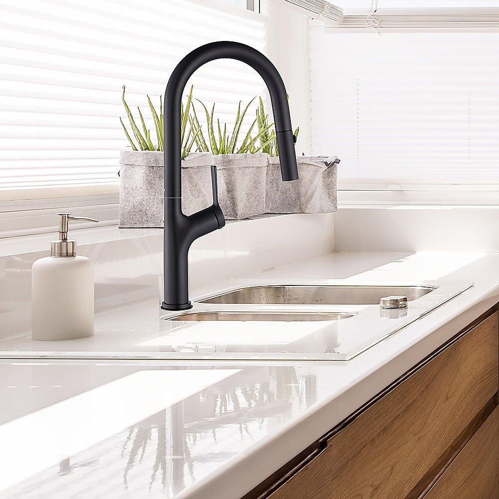 Kitchen, Laundry, Bathroom Basin Sink Pull Out Mixer Tap Faucet | Black