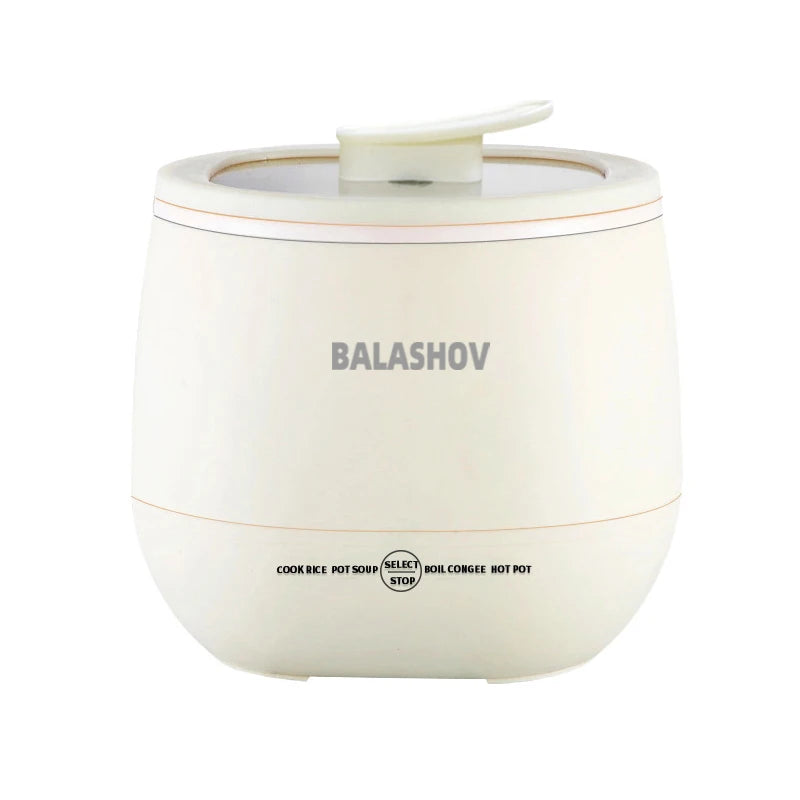 NNEOBA 1.8L Multifunctional Electric Mini Rice Cooker | Compact & Efficient