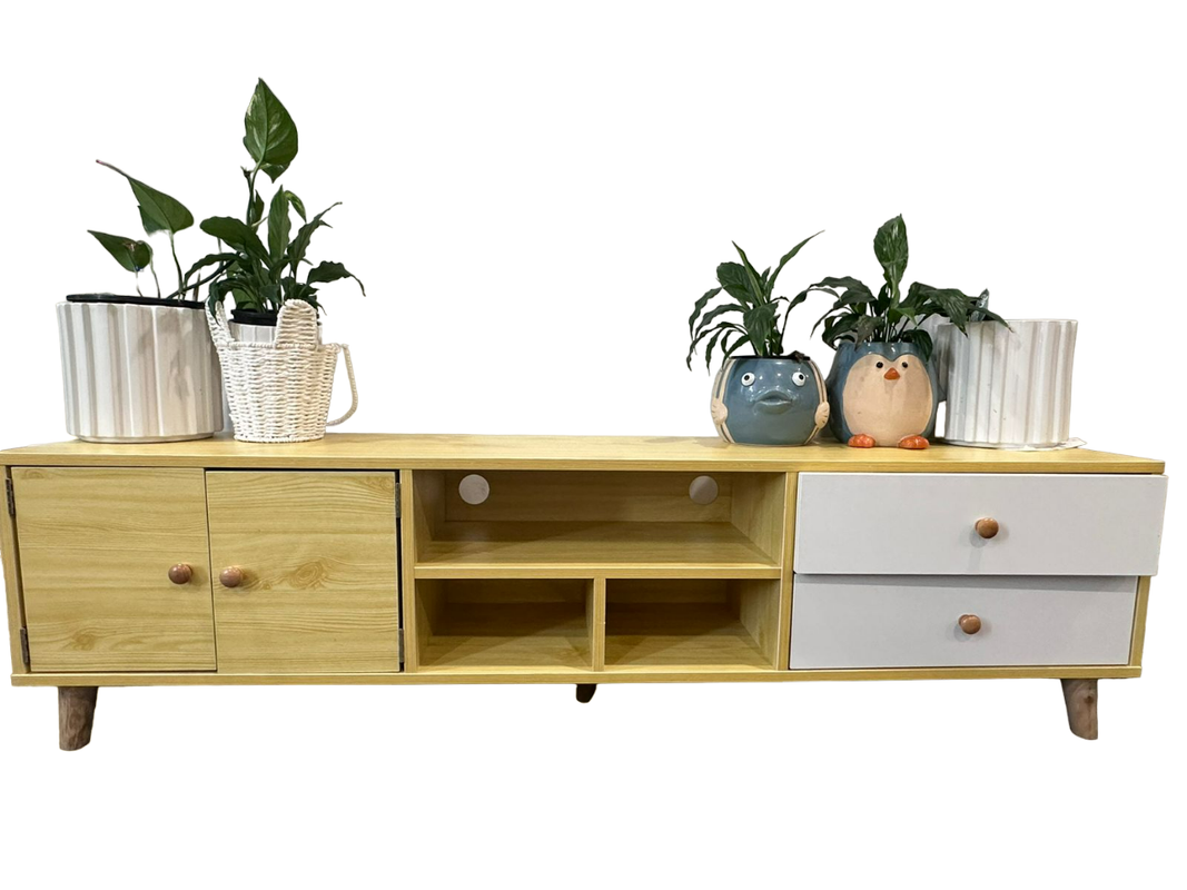NNECN Wooden TV Cabinet | Two Doors & Two Drawers | Modern Storage Unit