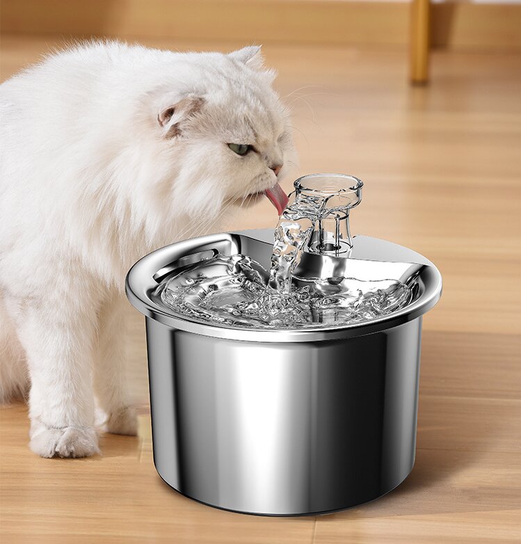 Stainless Steel Automatic Pet Water Fountain | USB Plug | Filter Cartridge Set | Auto Power-Off Function