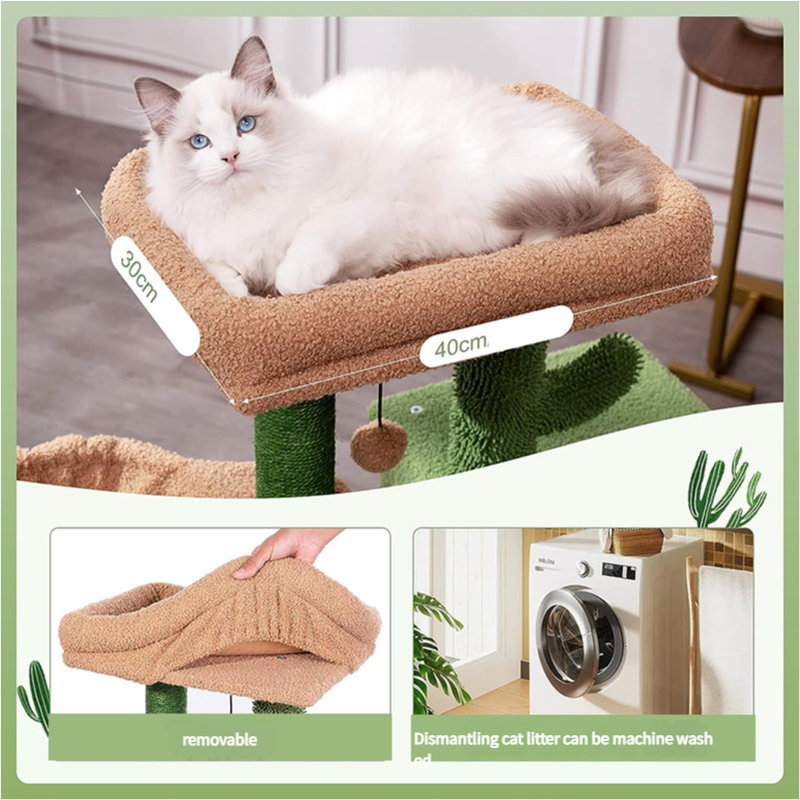 Cactus Cat Tree | Condo & Hammock | Stylish Cat Furniture