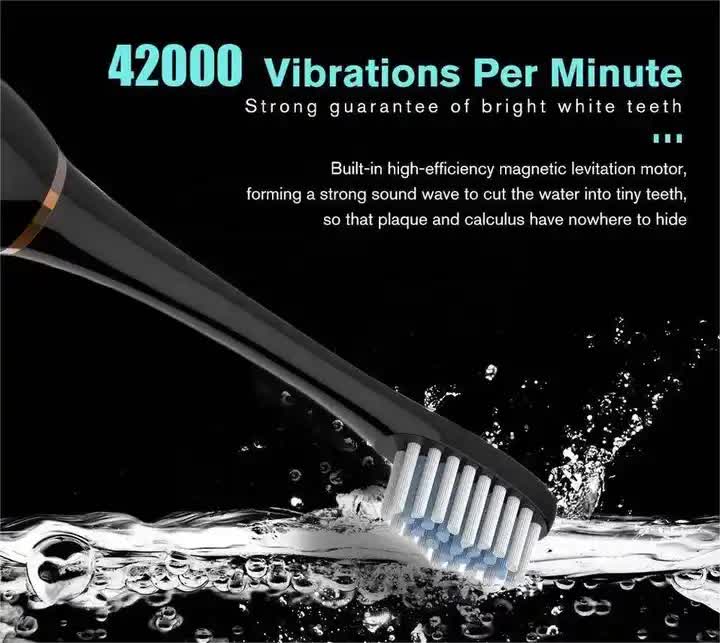 X-3 Sonic Electric Toothbrush in Black | 8 Brush Heads | Travel Case | USB Charging & Stand Included