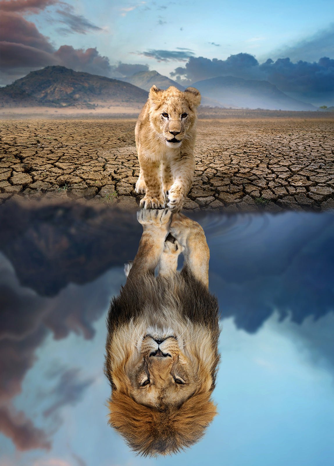 1000 - Piece Hot Air Balloon Adventure Jigsaw Puzzle for Adults | Difficult Paper Puzzle with Beautiful Scenery | Stress Relief & Cognitive Enhancement