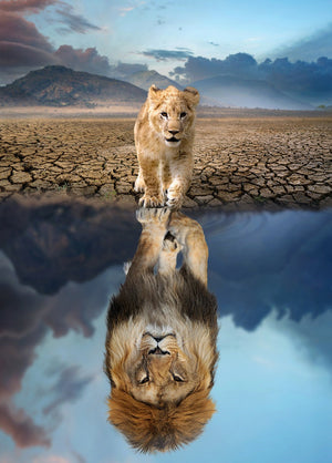 1000 - Piece Hot Air Balloon Adventure Jigsaw Puzzle for Adults | Difficult Paper Puzzle with Beautiful Scenery | Stress Relief & Cognitive Enhancement