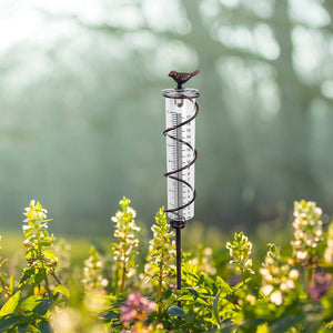 Decorative Garden Rain Gauge | Glass Rain Meter with Metal Stake & Bird Design