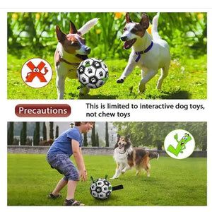 1515cm Interactive Dog Toy Soccer Ball with Rope | Outdoor Fetch & Tug Play | Training & Exercise Pet Toy