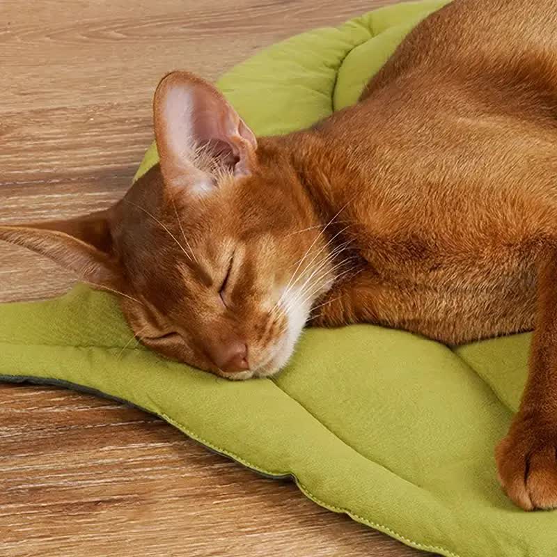 2 Pcs Green Leaf Pet Sleeping Mat | Durable Dog Floor Pad | Cat Bed | Sleeping & Playtime