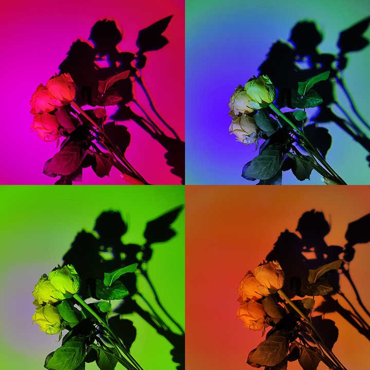 UFO RGB Sunset Projection Lamp with 16 Colors and Remote Control | Black