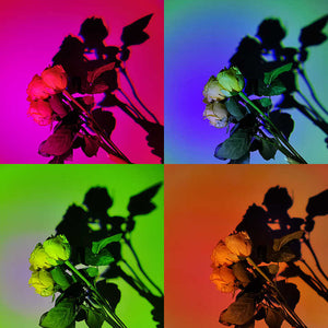 UFO RGB Sunset Projection Lamp with 16 Colors and Remote Control | Black