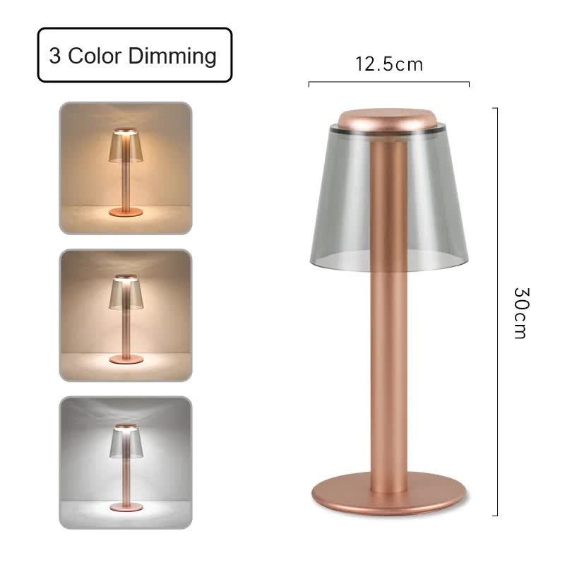 Gold Stylish Transparent Desk Lamp with Touch Control | LED | Type-C Charging | Simple & Modern Design