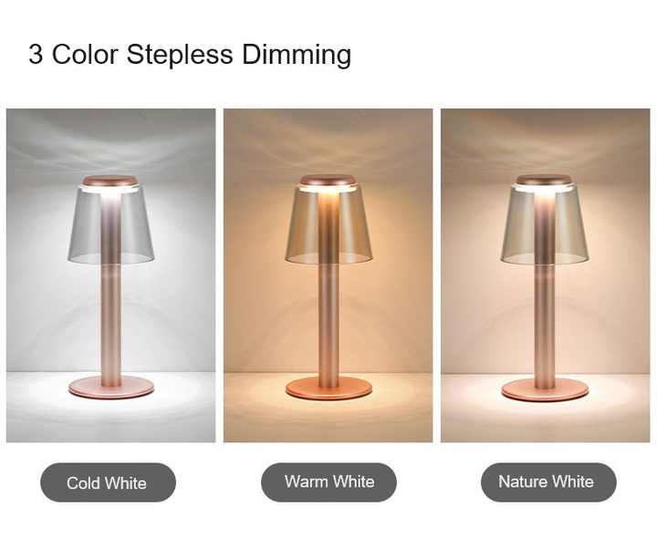 Gold Stylish Transparent Desk Lamp with Touch Control | LED | Type-C Charging | Simple & Modern Design