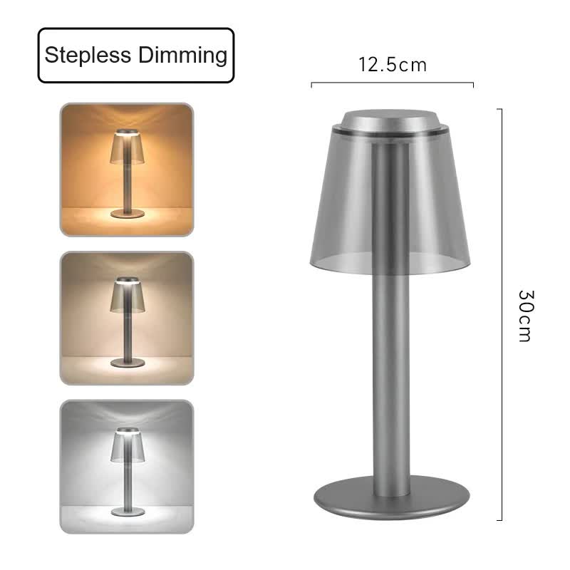 Silver Stylish Transparent Desk Lamp | Touch Control | LED | Type-C Charging | Modern Design