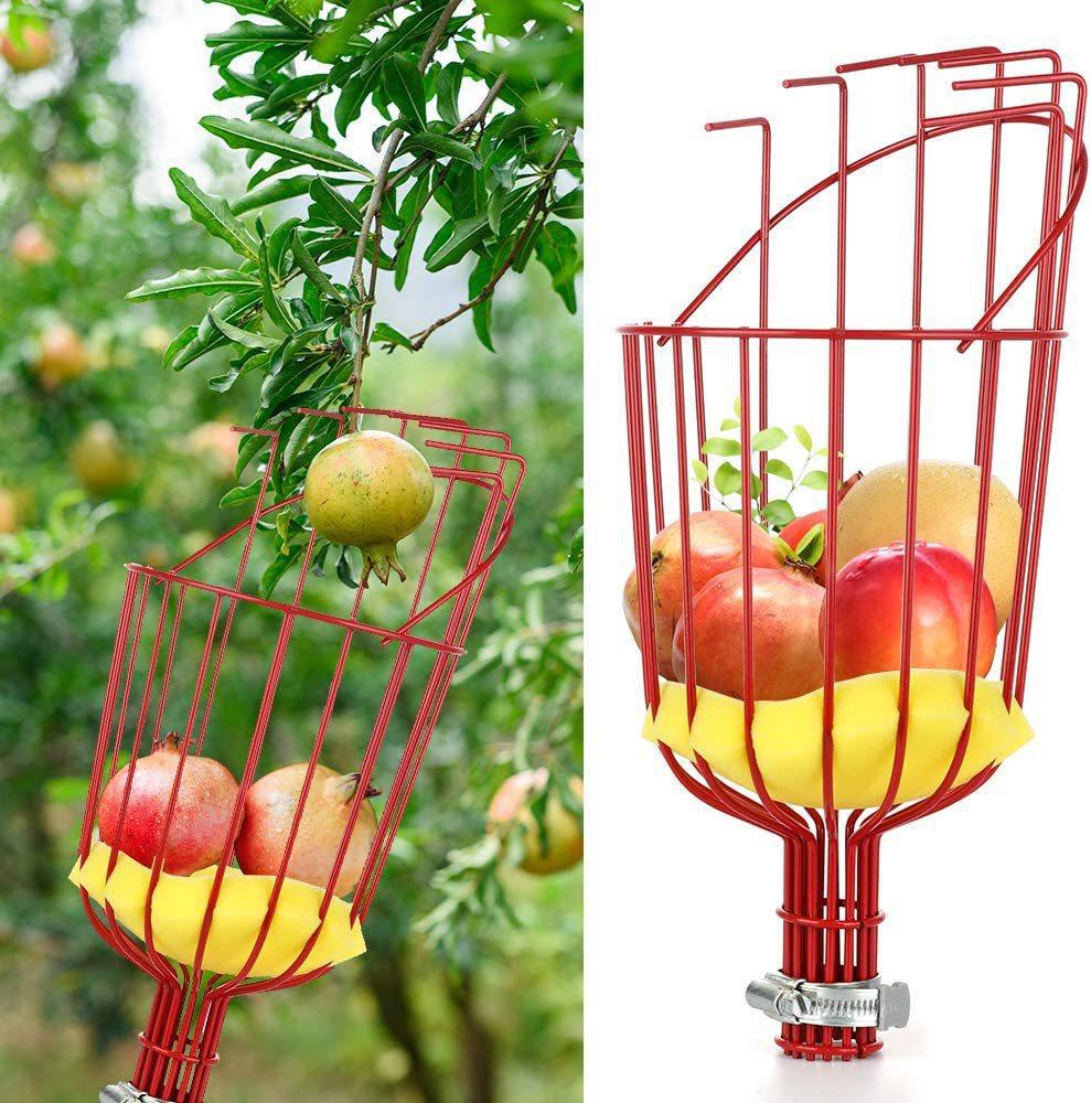Fruit Picker with Telescopic Pole | 3.2m | Stainless Steel | High Reach Tree Harvester