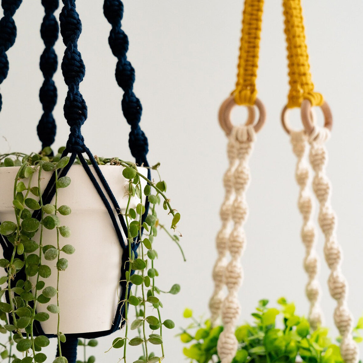 Plant Hanger Set 2PC | Handwoven Cotton Rope Hanging Planters with Wooden Rings | Natural Finish