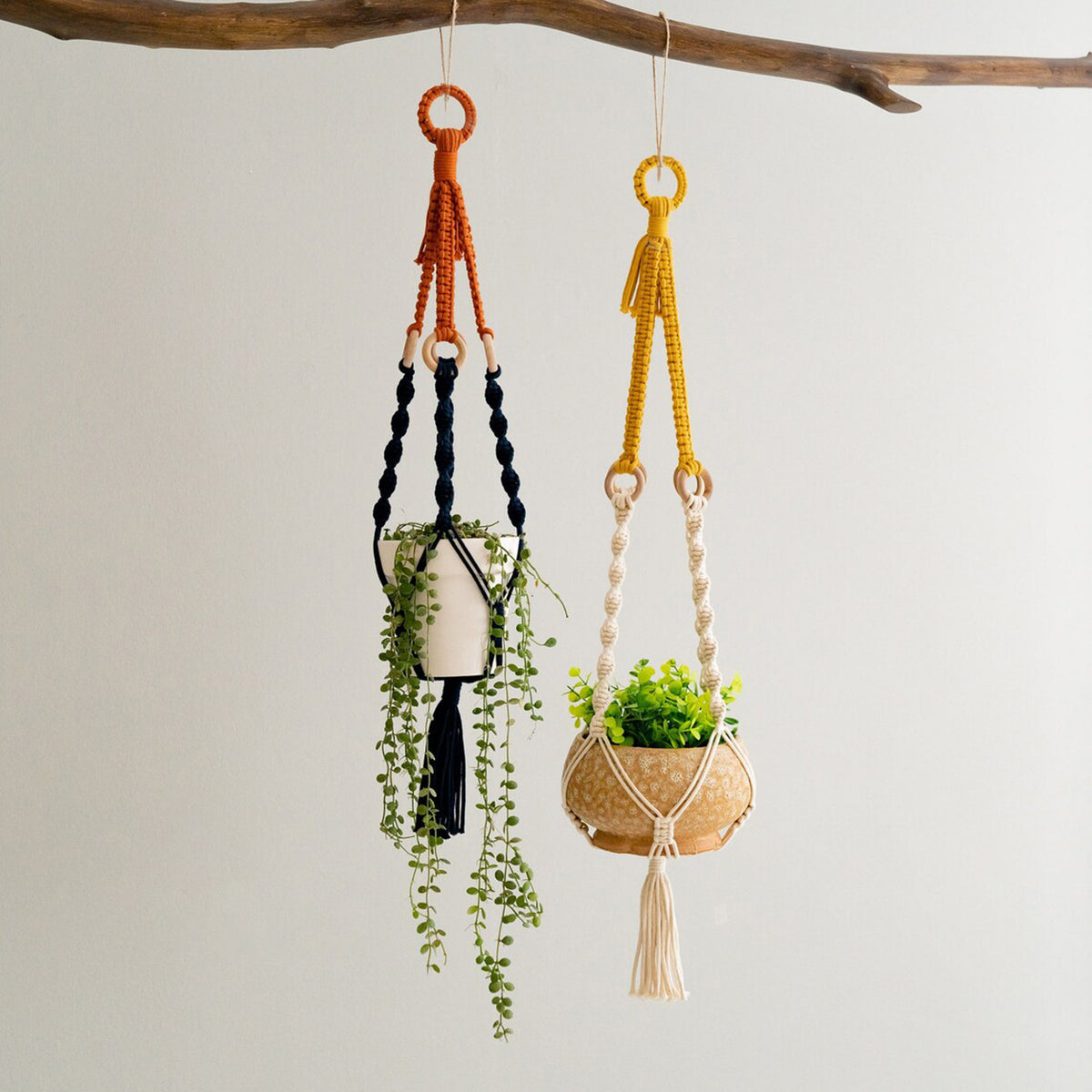 Plant Hanger Set 2PC | Handwoven Cotton Rope Hanging Planters with Wooden Rings | Natural Finish