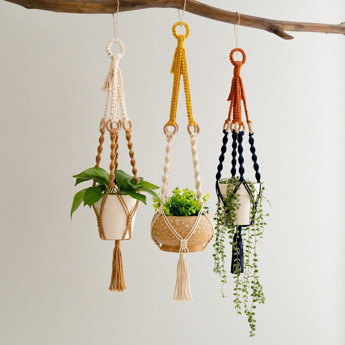 Plant Hanger Set 3PC | Handwoven Cotton Rope Hanging Planters with Wooden Rings
