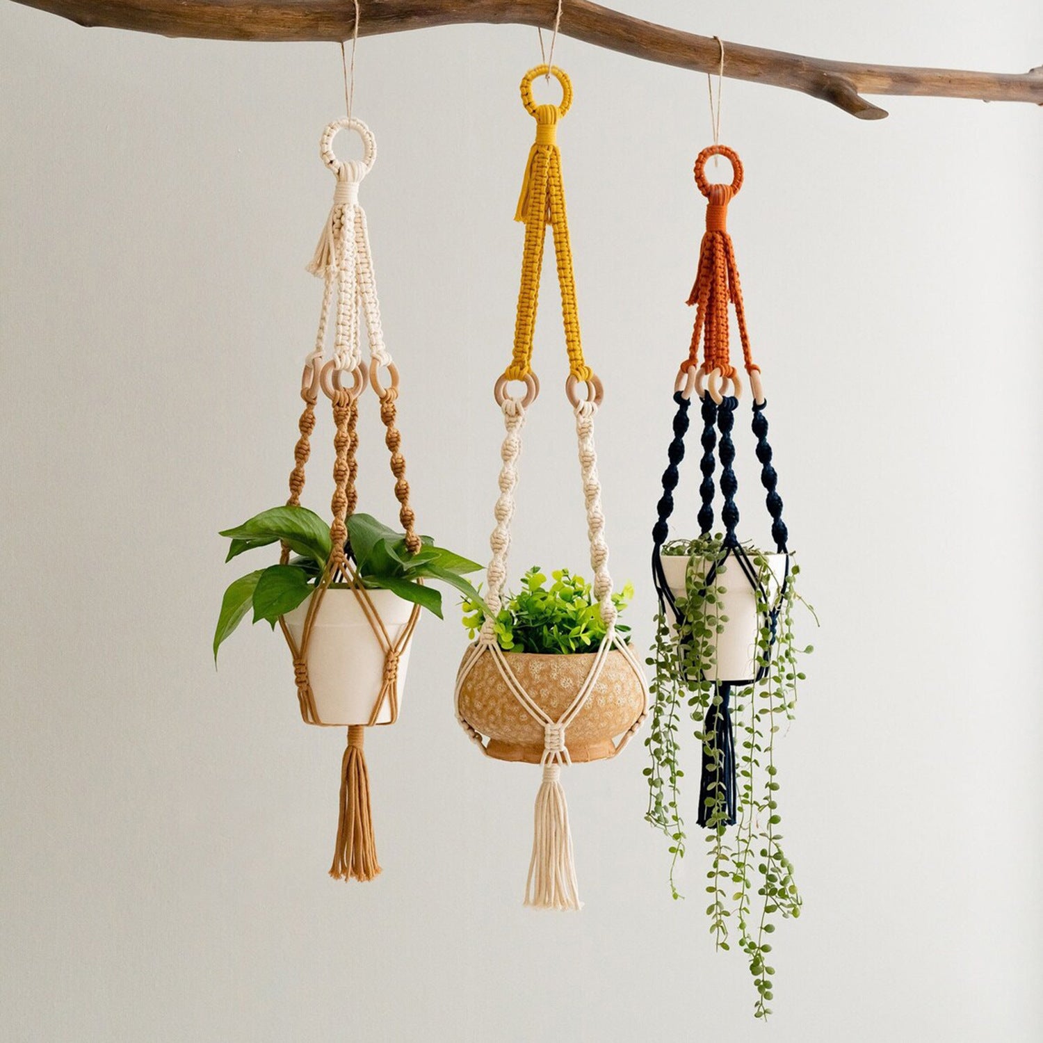 Plant Hanger Set 3PC | Handwoven Cotton Rope Hanging Planters with Wooden Rings