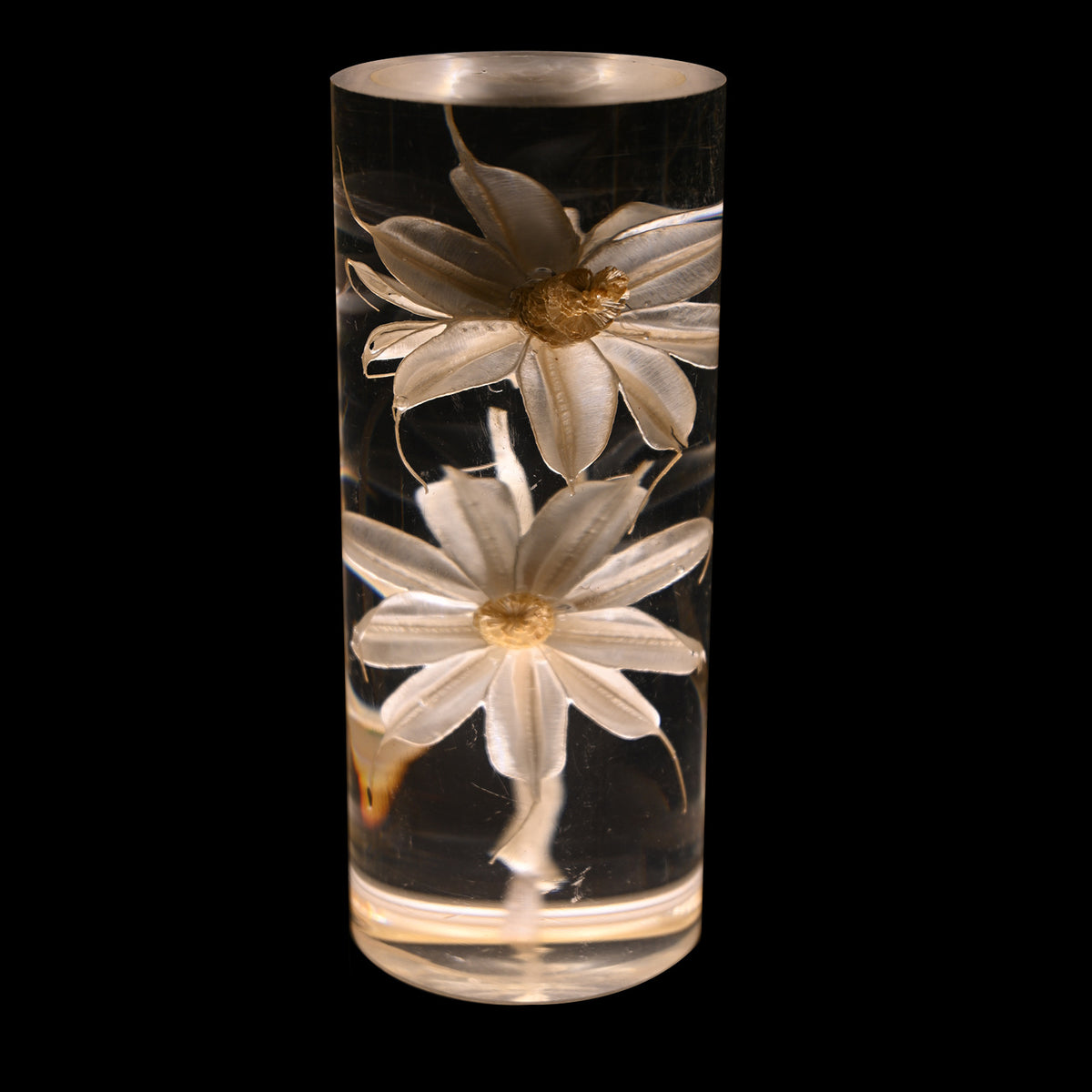 Daisy Eternal Flower Acrylic Table Lamp | Color-Changing LED | USB Rechargeable | Touch Control