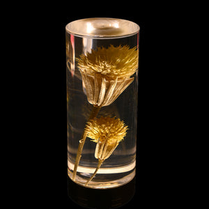Dandelion Grass Eternal Flower Acrylic Table Lamp | Color-Changing LED | USB Rechargeable | Touch Control